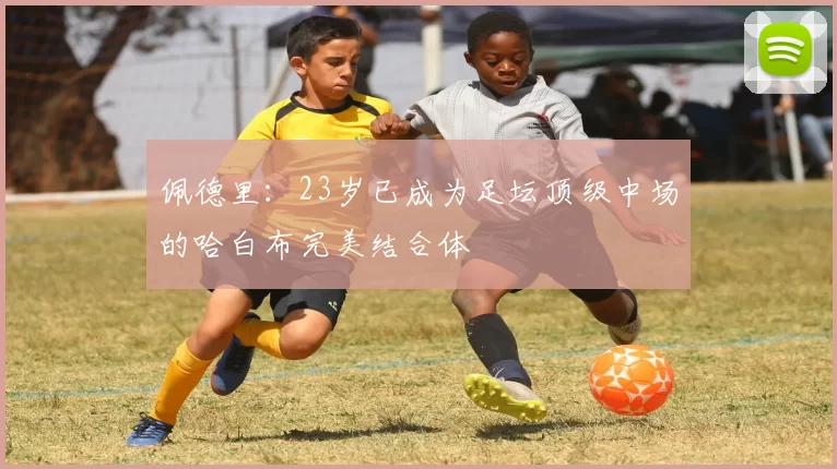 佩德里：23岁已成为足坛顶级中场的哈白布完美结合体