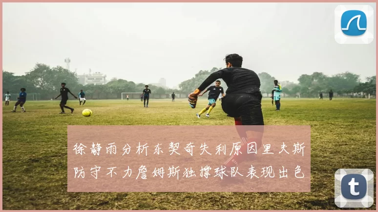 徐静雨分析东契奇失利原因里夫斯防守不力詹姆斯独撑球队表现出色