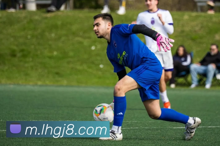 乐虎国际发展历程